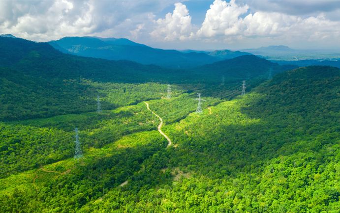 Forested valley with power lines