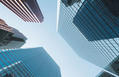 IMCO Insights